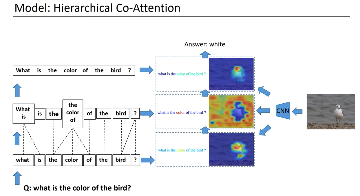 Joint question and image attention maps